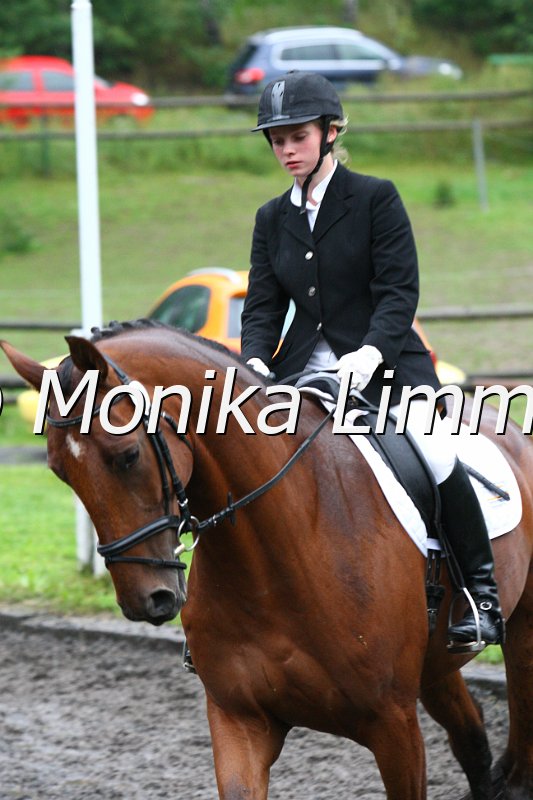 007L6893_La Matcho_Dresspferde A.JPG